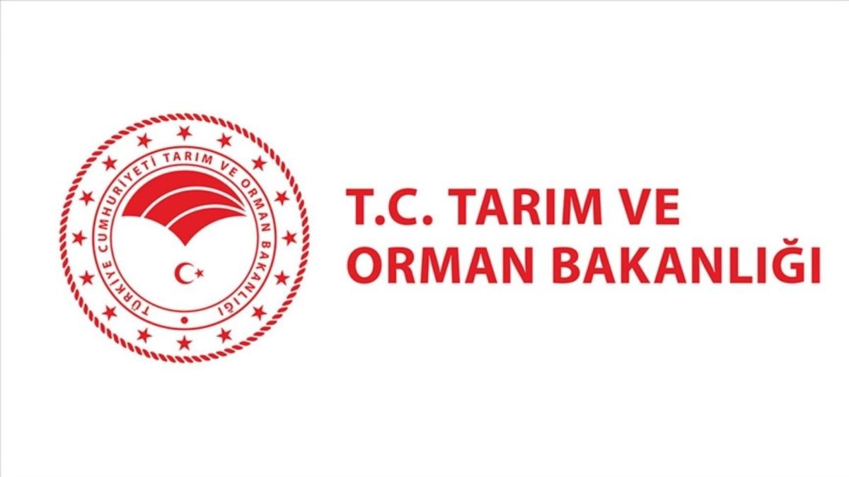Tarım ve Orman Bakanlığı 496 sözleşmeli personel alacak: Başvurular yarın başlıyor