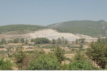 Doğa İçin Sorumluluk Hepimizde: TEMA Vakfı 2025'in Çevre Olaylarını Değerlendirdi