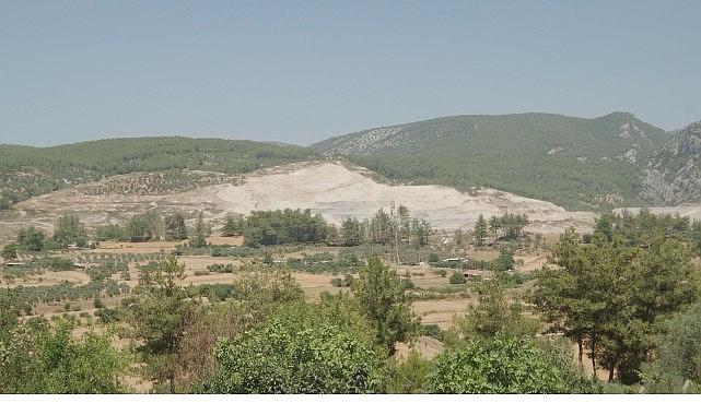 Doğa İçin Sorumluluk Hepimizde: TEMA Vakfı 2025'in Çevre Olaylarını Değerlendirdi