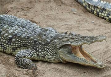 Büyükşehir'den çocuklara bayram hediyesi