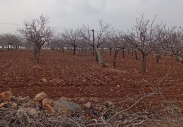 Şanlıurfa Örcünlü Mahallesi’nde elektrik kesintisi ve su sorunu