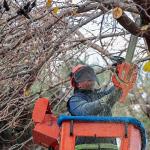 Öğrenciler tatilde, Konak Belediyesi ekipleri iş başında