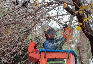 Öğrenciler tatilde, Konak Belediyesi ekipleri iş başında