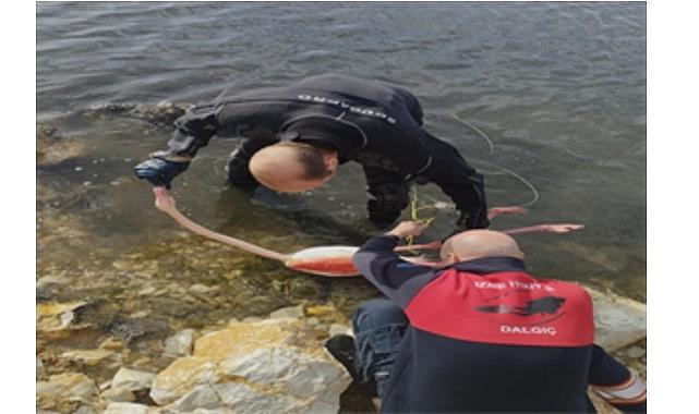 Flamingoya hayat veren kurtarma operasyonu