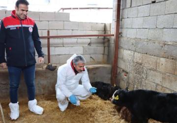 Adıyaman’da ‘Kırsalda Bereket, Hayvancılığa Destek Projesi’ ilk sonuçlarını verdi