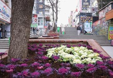Çansera'dan Kent Merkezine Kış Renkleri