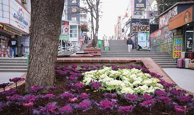 Çansera'dan Kent Merkezine Kış Renkleri