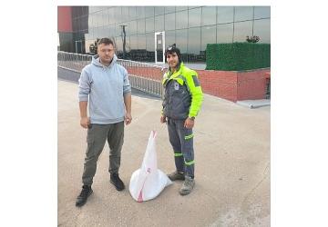 Buzlanmaya karşı tuz desteği