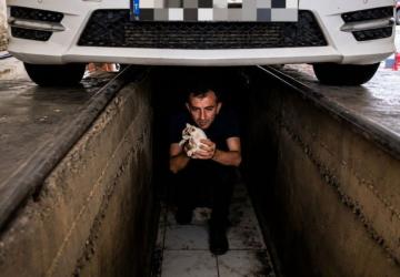 Adıyaman İtfaiyesi, yavru kediler için seferber oldu - Videolu Haber