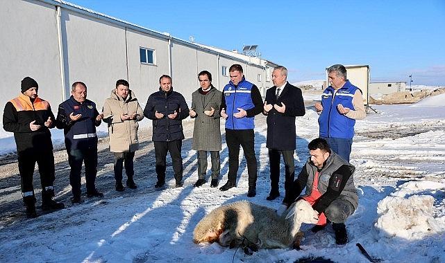 Sivas'ta Kar Yağışı İçin Şükür Kurbanı Kesildi