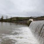 Adıyaman Beşpınar'da akıntıya karşı yüzen balıklar dikkat çekti - Videolu Haber
