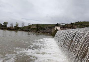 Adıyaman Beşpınar'da akıntıya karşı yüzen balıklar dikkat çekti - Videolu Haber
