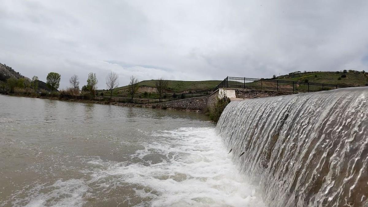 Adıyaman Beşpınar'da akıntıya karşı yüzen balıklar dikkat çekti - Videolu Haber