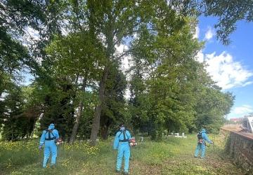 Bayram hazırlığında mezarlıklara özel bakım