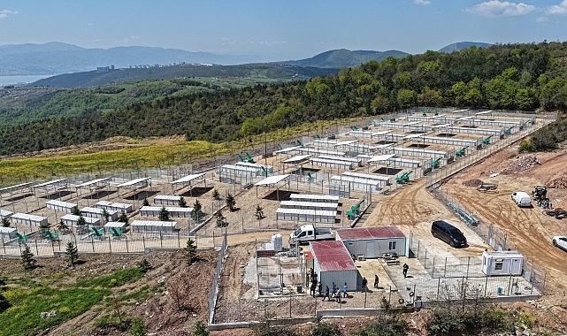 Büyükşehir'den sahipsiz köpeklere yeni yuva