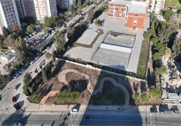 Betonun arasından orman çıktı