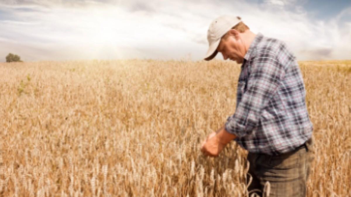 Adıyaman Tarım ve Orman İl Müdürlüğü’nden ÇKS uyarısı: 31 Aralık’ta sona eriyor