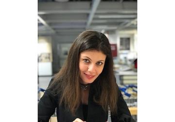 Yabancı Dil Bilenlerin İş Bulma Olasılığı Bilmeyenlere Göre Yüzde 25 Daha Yüksek