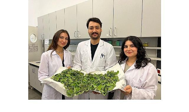 BİLGİ'li öğrenciler antibiyotik direncine karşı yenilikçi ve doğal bir yöntem geliştirdi