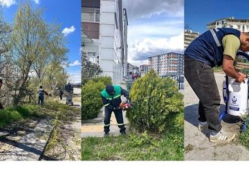 Ekiplerden Kapsamlı Çalışma