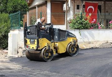 Maydonoz Koyu'nda Asfalt Çalışması