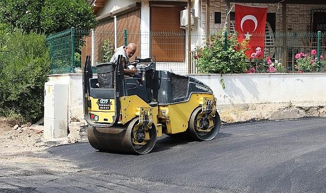 Maydonoz Koyu'nda Asfalt Çalışması