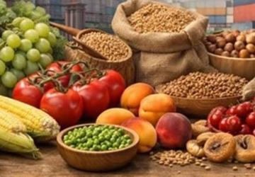 Endonezya'ya Tarım İhracatında Teknik Engeller Kaldırıldı