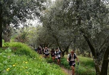 Türkiye'nin En Uzun Maratonuna Sayılı Saatler
