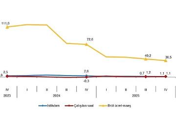 İşgücü Girdi Endeksleri, IV. Çeyrek: Ekim-Aralık 2025