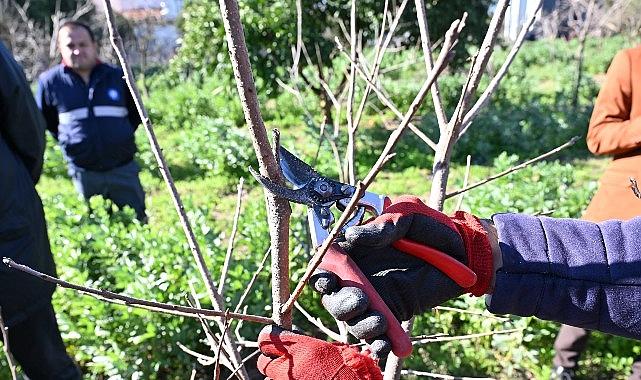 ATASEM'de uygulamalı ağaç budama eğitimi