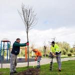 Narlıdere, Peyzaj Çalışmalarıyla Güzelleşiyor