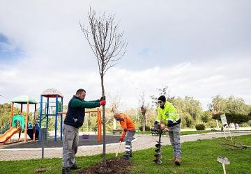 Narlıdere, Peyzaj Çalışmalarıyla Güzelleşiyor