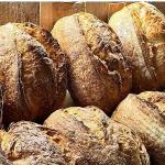 NADAS: Ayvacık Yeşilyurt'ta Sürdürülebilir Turizm, Geleneksel Üretim ve Gastronominin Yükselen Markası