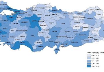 İl Bazında Gayrisafi Yurt İçi Hasıla, 2024