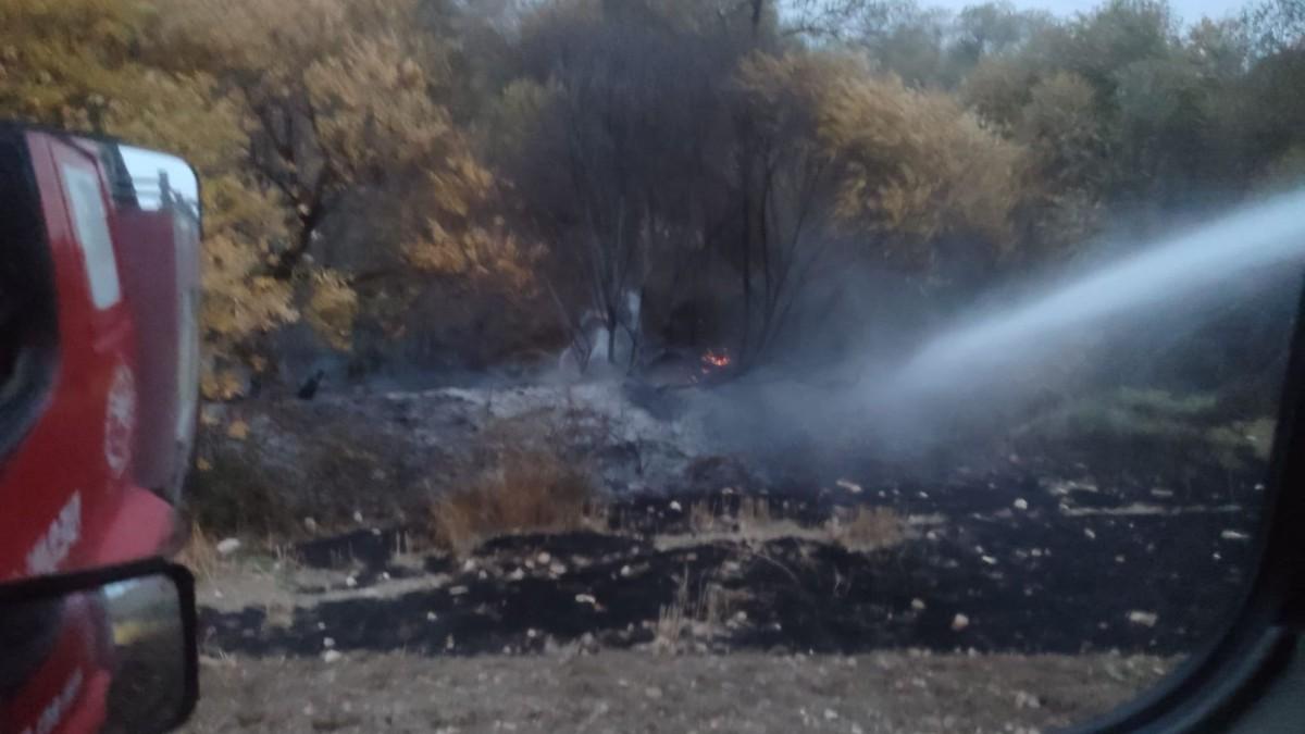 Besni’de Kesecik Köyü’nde çıkan yangın kontrol altına alındı - Videolu Haber
