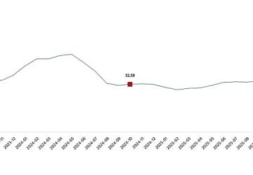 Tarımsal Girdi Fiyat Endeksi, Ekim 2025