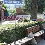 Bayrampaşa'da sineklere karşı yoğun mesai
