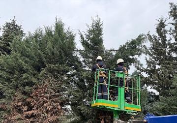 Kartepe'de Yeşil Alanlara Düzenli Bakım