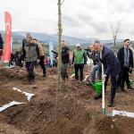 Karamürsel'de yanan bölge 3 bin fidanla yeniden yeşerecek