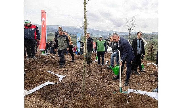 Karamürsel'de yanan bölge 3 bin fidanla yeniden yeşerecek