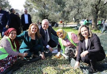 Zeytinin Başkenti Edremit'te MECİ Şenliği başlıyor