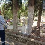 Başkan Çerçioğlu'ndan Mezarlıklarda Kurban Bayramı Öncesi Temizlik Çalışması
