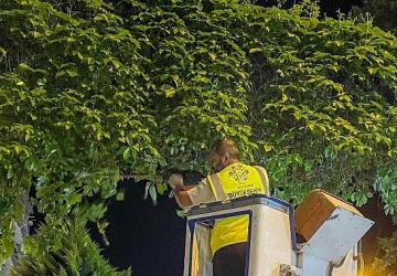 Başkan Çerçioğlu: Aydınımız İçin Gece Gündüz Çalışmaya Devam Ediyoruz