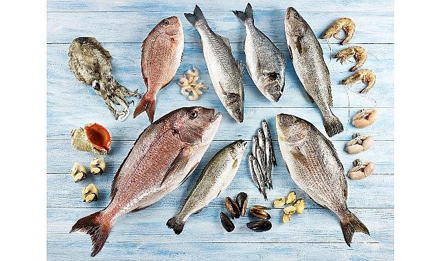 Su ürünleri ve hayvansal mamuller ihracatının yüzde 47'si Ege Bölgesi'nden yapıldı