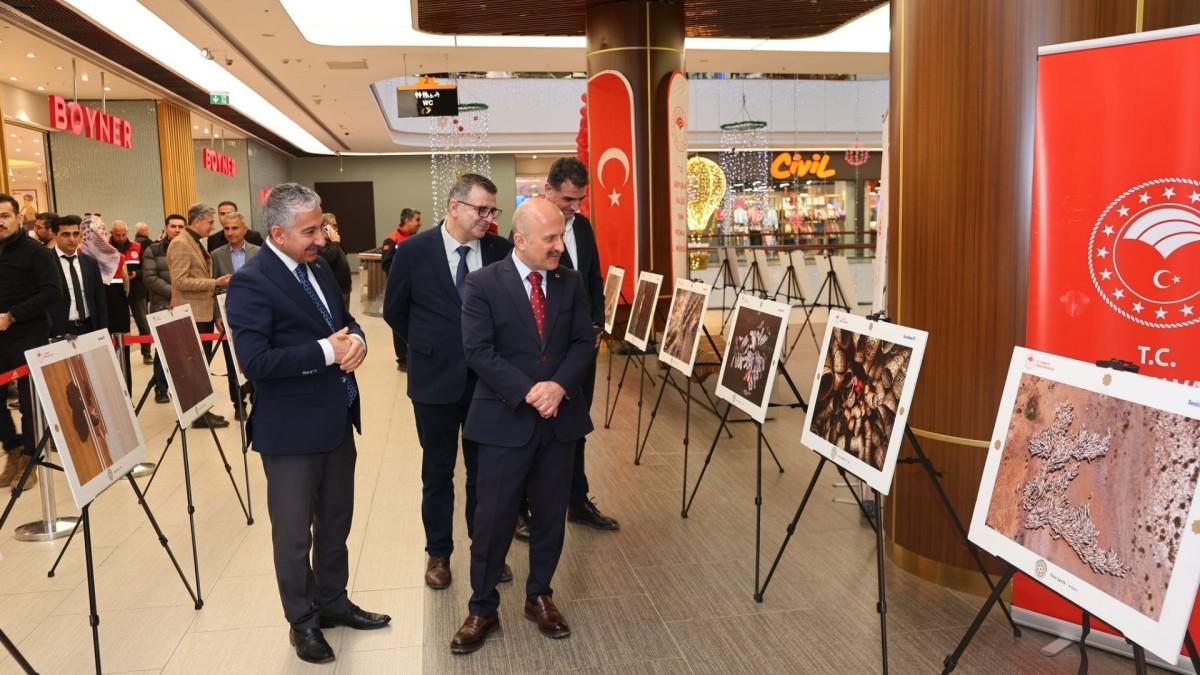 Vali Dr. Osman Varol ‘Tarım, Orman ve İnsan’ sergisini ziyaret etti