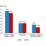 Bitkisel Üretim İstatistikleri, 2025