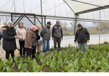 Saygınlar Kulübü'nün 'tarım' keyfi