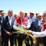 Belören Beldesinde asırlık lezzetin hasat heyecanı başladı