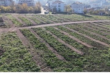 Büyükşehir'den Gölcük'e yeni mezarlık alanları