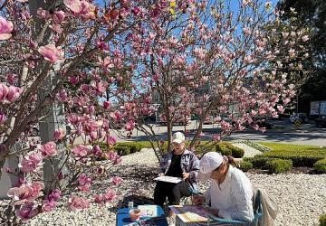 Turistler Kemer'de manolyaları resmediyor